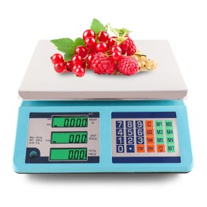 Stainless Steel Digital Electronic Multifunction Scale Measures in Grams Commercial price computing scale